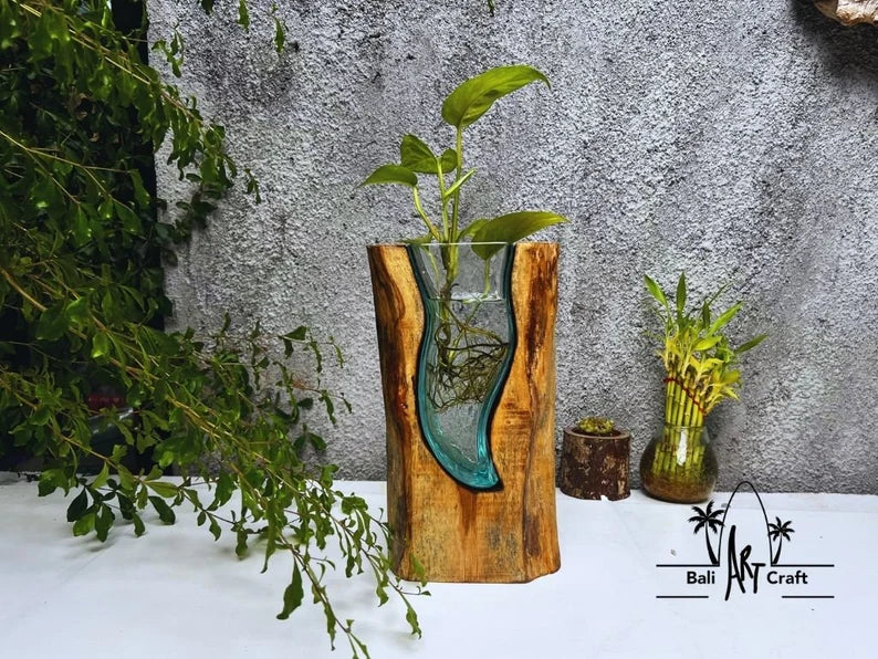 Molten Glasses flower Vases 11 Inch on wood / Pots / Aquascape / Roots / Gamal wood