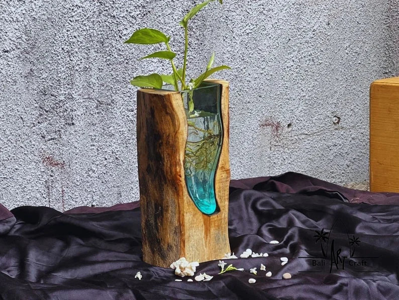 Molten Glasses flower Vases 11 Inch on wood / Pots / Aquascape / Roots / Gamal wood