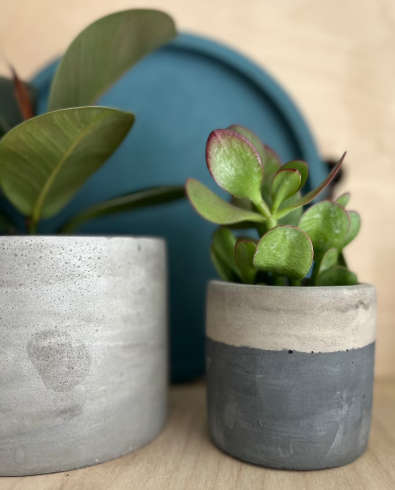 Concrete plant pot, concrete planter, minimalist succulent pot, cactus pot, handmade pot, concrete, gift, cactus planter, new home