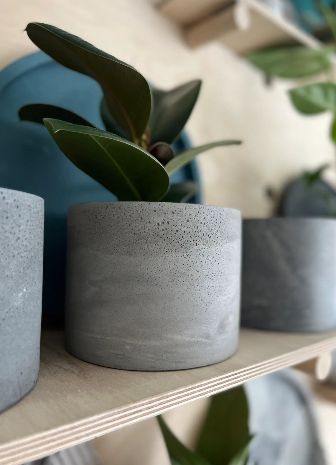 Concrete plant pot, concrete planter, minimalist succulent pot, cactus pot, handmade pot, concrete, gift, cactus planter, new home