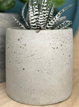 Concrete plant pot, concrete planter, minimalist succulent pot, cactus pot, handmade pot, concrete, gift, cactus planter, new home