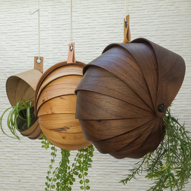 Hanging plants