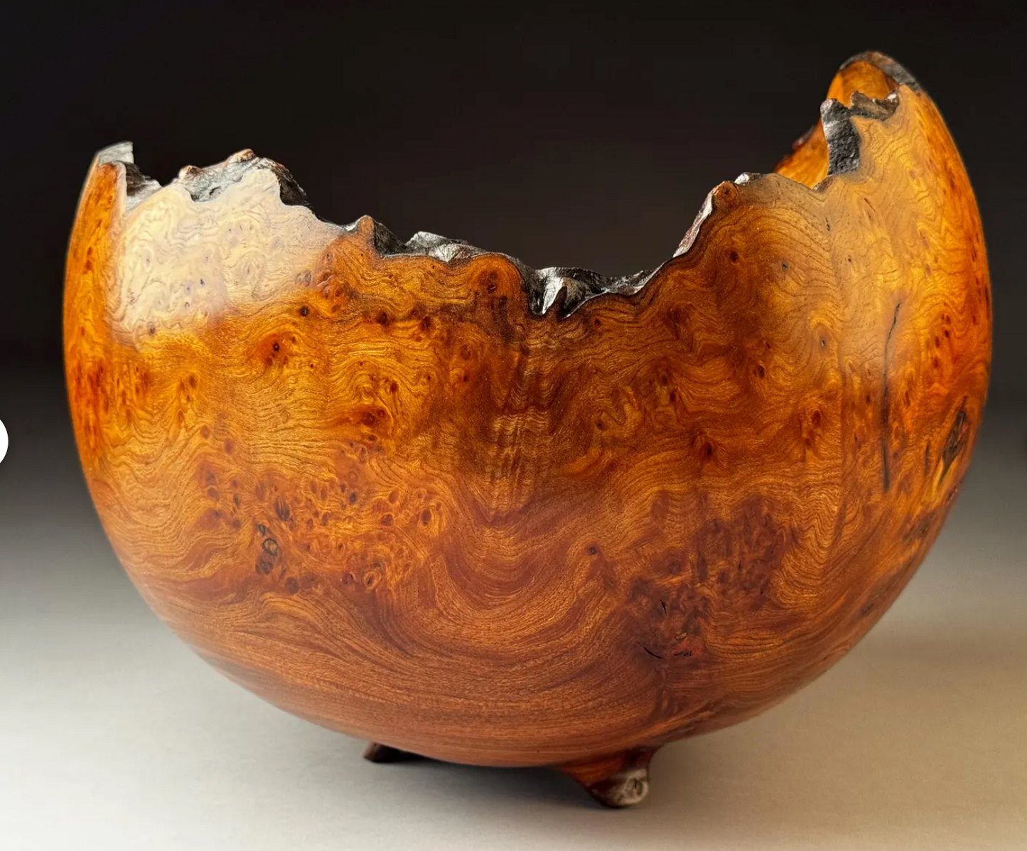 Live Edge Burr Elm Bowl - 12 x 10 Inches