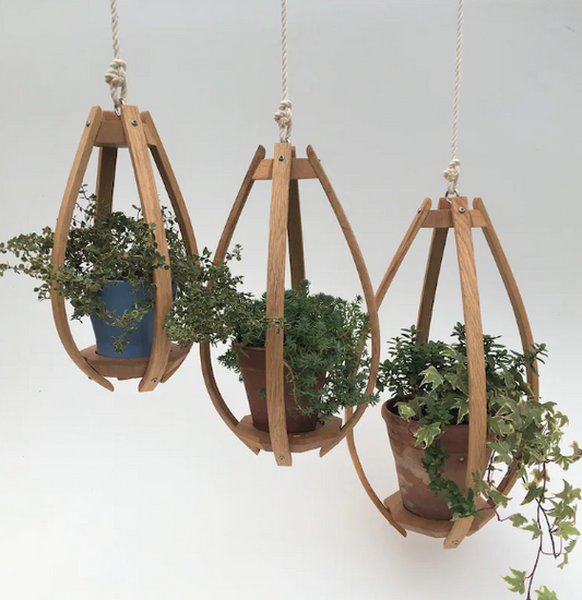 Steam Bent Oak Hanging Planter - Ceiling Mounte