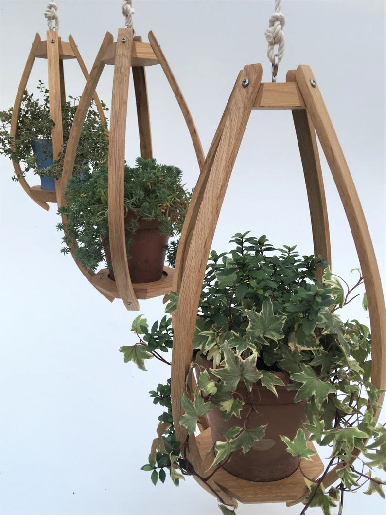 Steam Bent Oak Hanging Planter - Ceiling Mounte