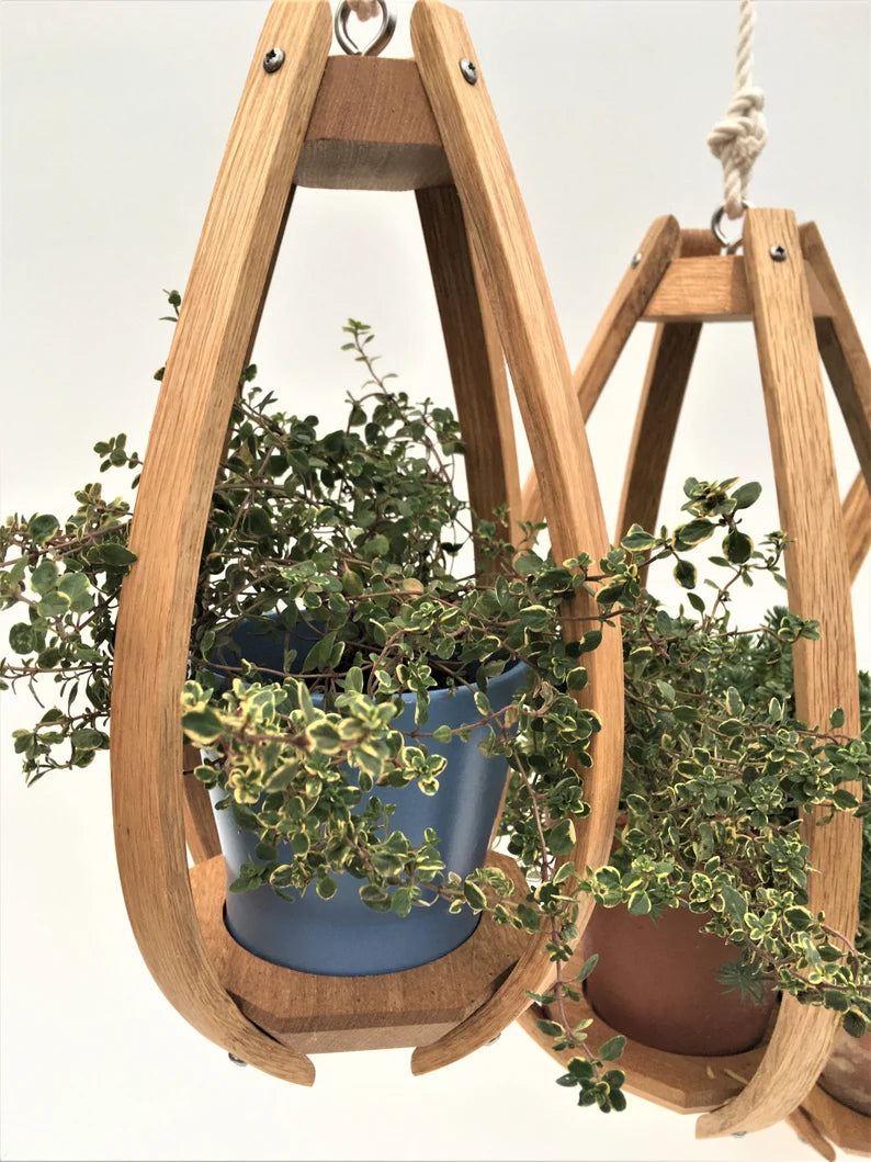 Steam Bent Oak Hanging Planter - Ceiling Mounte