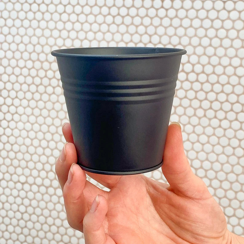 Hanging Planter Indoor | Hanging Plant Pot for Trailing Plants