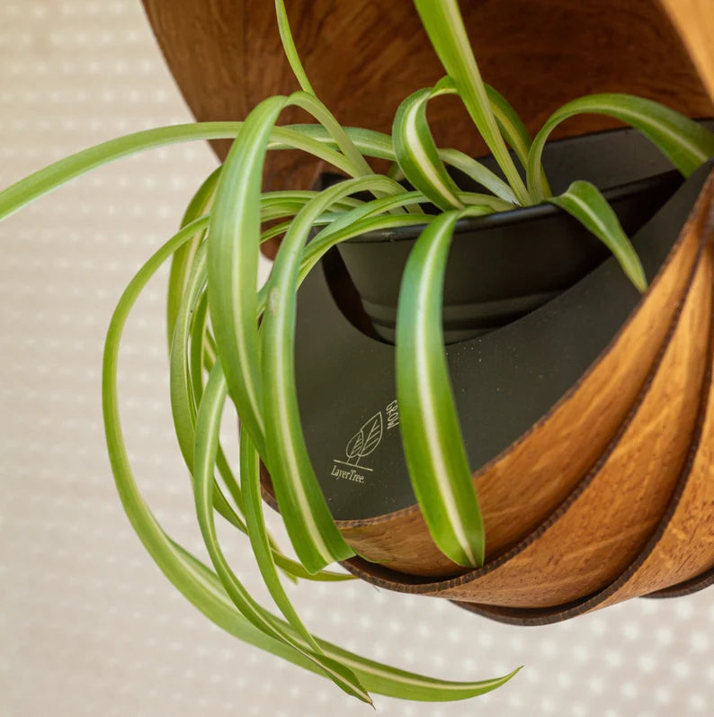 Hanging Planter Indoor | Hanging Plant Pot for Trailing Plants