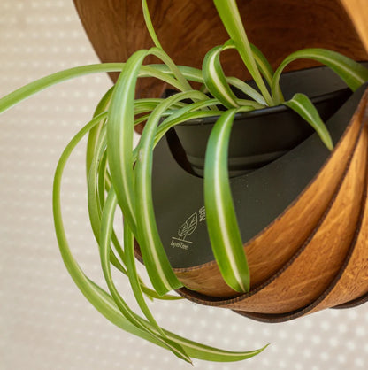 Hanging Planter Indoor | Hanging Plant Pot for Trailing Plants