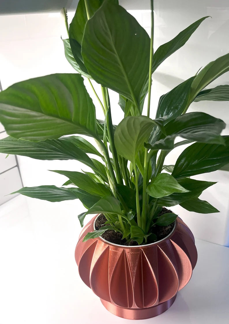 The Keri Green Plant Pot with Drainage and stand : Unique Home Decor, planter , 3D printed, gift