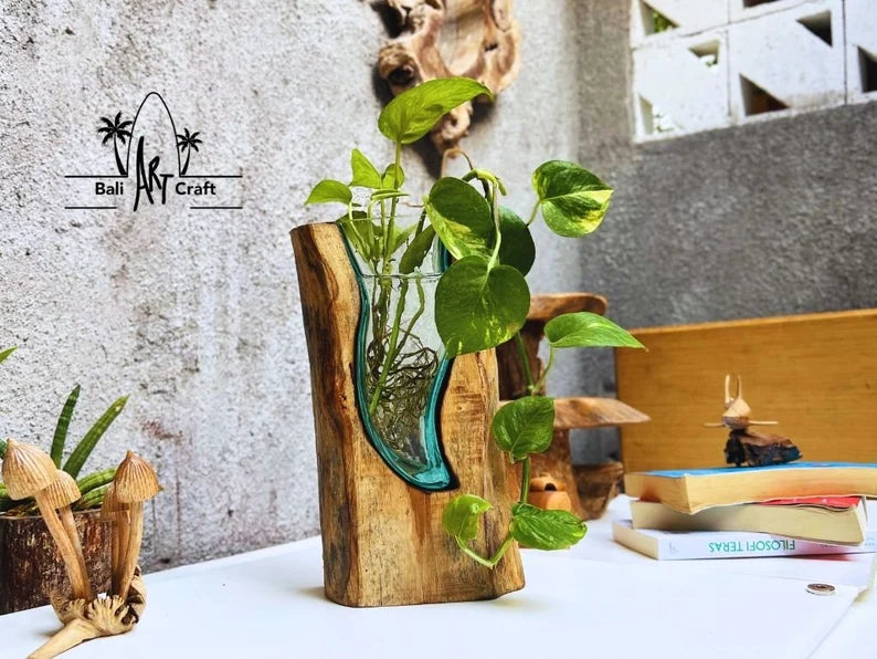 Molten Glasses flower Vases 11 Inch on wood / Pots / Aquascape / Roots / Gamal wood