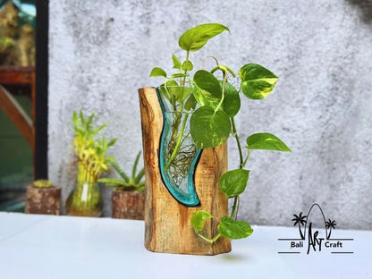 Molten Glasses flower Vases 11 Inch on wood / Pots / Aquascape / Roots / Gamal wood