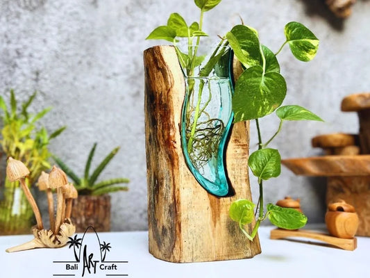 Molten Glasses flower Vases 11 Inch on wood / Pots / Aquascape / Roots / Gamal wood